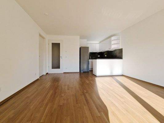 Wohnen, offene Küche - leer