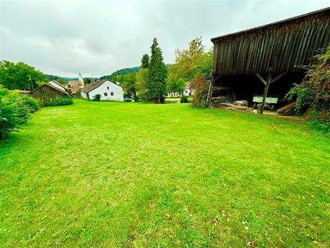 Wald Grundstücke, Wald Grundstück kaufen
