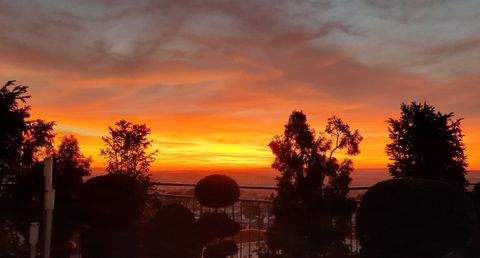 Weingarten Wohnungen, Weingarten Wohnung kaufen