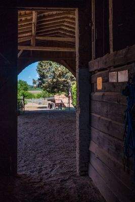 Blick vom Pferde- durch den Offenstall 