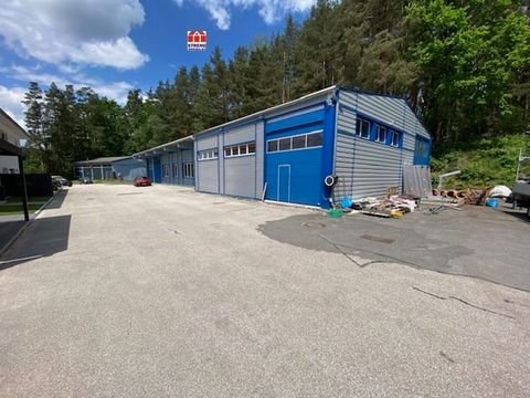 Lauf a d Pegnitz Halle, Lauf a d Pegnitz Hallenfläche