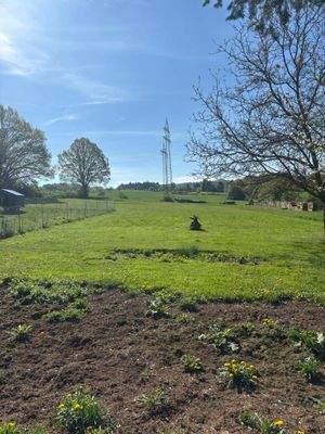 WhatsApp Bild 2025-06-16 um 16.51.14_e8998fcf