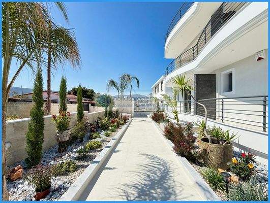 b557ed21b81446879275a3e1c345a451-original