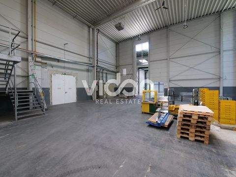 Bergisch Gladbach Halle, Bergisch Gladbach Hallenfläche