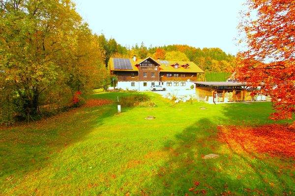 ... Gemeinschaftsgarten