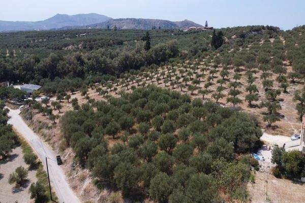 Kreta, Kalyves: Weitläufiges Grundstück mit Meerblick zu verkaufen