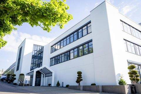 Sigmaringen Büros, Büroräume, Büroflächen 