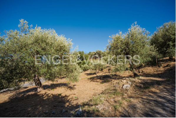 Screenshot 2025-08-28 alle 16.15.39.png