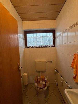 H 541 EG Gäste-WC.jpg