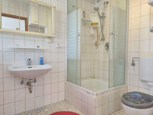 Ground floor: Bright shower room