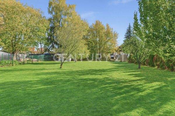 Reale Gartenperspektive –ideale Fläche f.Pool, Outdoor-Küche