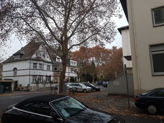 Umgebung 2.jpg