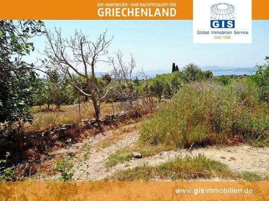 Zufahrt zum Grundstück rechts