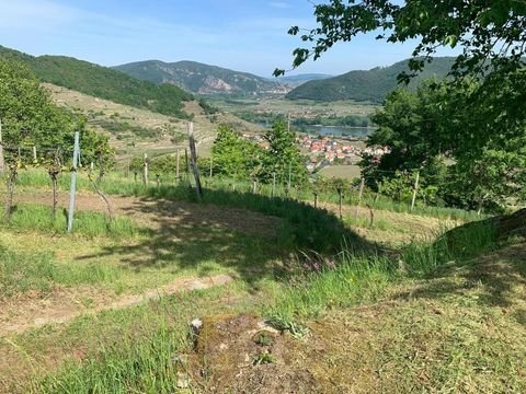 Weißenkirchen in der Wachau Bauernhöfe, Landwirtschaft, Weißenkirchen in der Wachau Forstwirtschaft