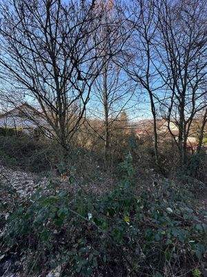 Cronenberger Straße