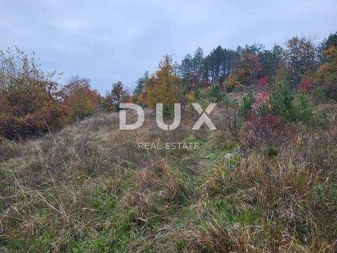 Buzet Bauernhöfe, Landwirtschaft, Buzet Forstwirtschaft