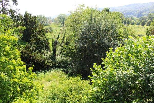 73. Aussicht Studio 2.OG