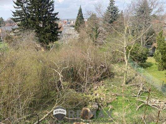 2 Baugrundstück in Königstetten