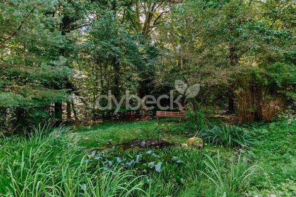 Einladung zum Streifzug