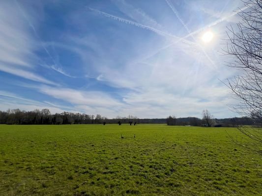 Ausgiebige Spaziergänge direkt vor der Haustür.jpg