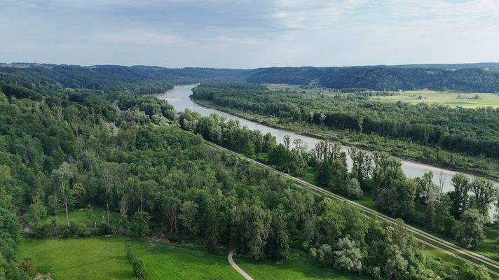 Die Salzach unweit vom Grundstück