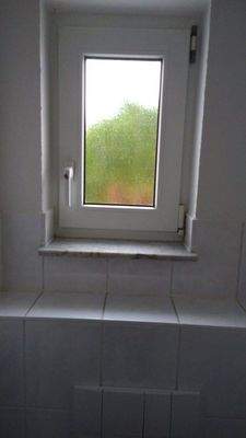 Gäste WC im EG Fenster