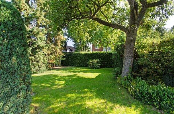 Großzügige Gartenfläche mit Anbaupotenzial