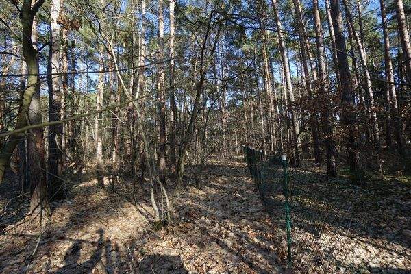 Auf dem Grundstück (4).jpg