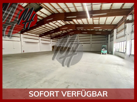 Stockstadt am Main Halle, Stockstadt am Main Hallenfläche