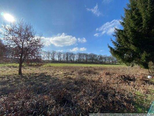 Traumhafter Blick über die Felder