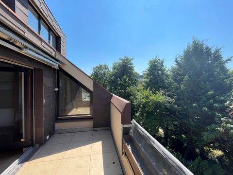 Müllheim Wohnungen, Müllheim Wohnung kaufen