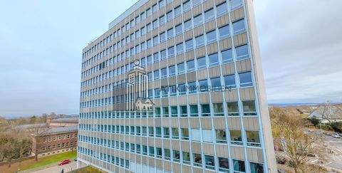 Mannheim / Schwetzingerstadt Oststadt Büros, Büroräume, Büroflächen 