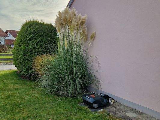 für herrlich schönen Rasen