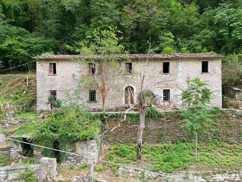 Seravezza Häuser, Seravezza Haus kaufen