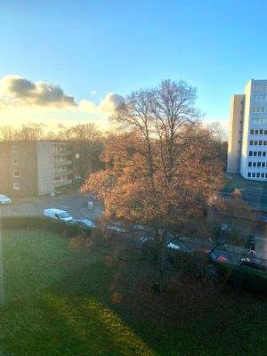 Sonniger S/W - Blick von der Loggia