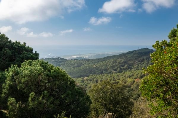 passatge mirador_13