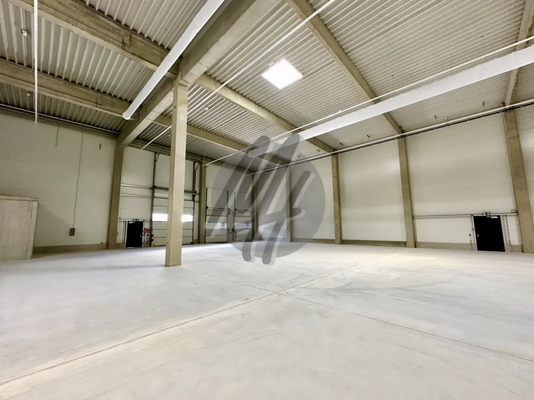 INFOS UNTER: 06171-586000