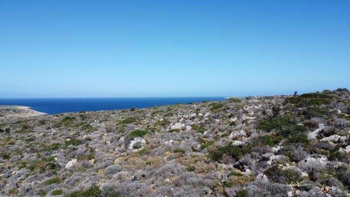 Kreta, Agios Onoufrios: Eckgrundstück mit Meerblick zu verkaufen