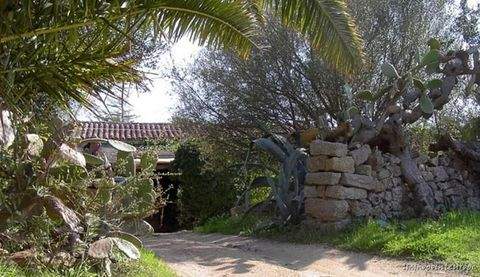 Arzachena Wohnen auf Zeit, möbliertes Wohnen