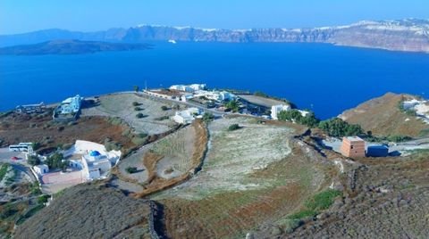 Thira Bauernhöfe, Landwirtschaft, Thira Forstwirtschaft