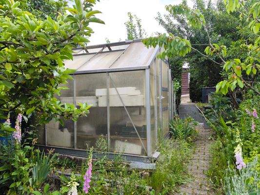 Gewächshaus