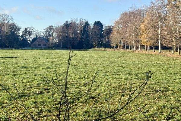 Blick von der Straße