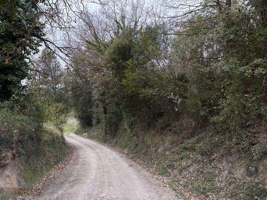 Zufahrt zum Grundstück