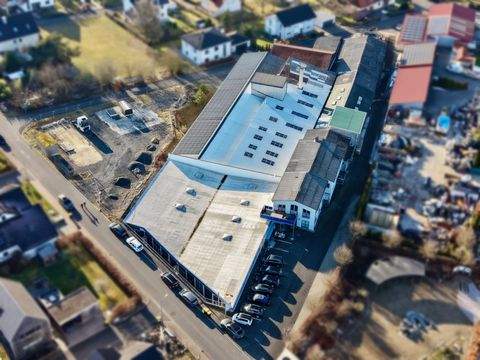 Dipperz Halle, Dipperz Hallenfläche