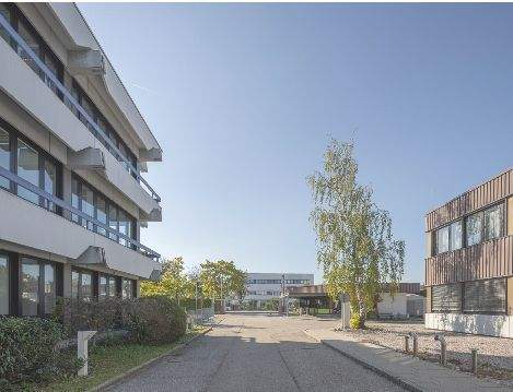 Screenshot 2025-11-28 133524