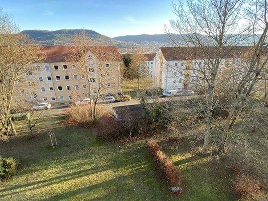 Blick auf die gemeinschaftliche Grünanlage