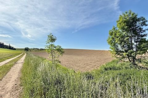 Zangberg Bauernhöfe, Landwirtschaft, Zangberg Forstwirtschaft