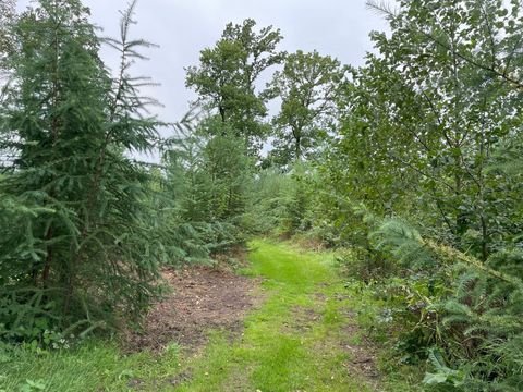 Aukrug Bauernhöfe, Landwirtschaft, Aukrug Forstwirtschaft