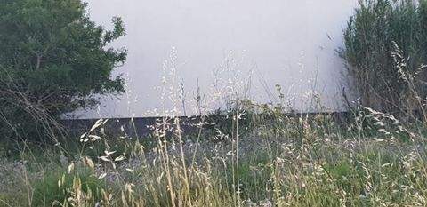 San Lorenzo Häuser, San Lorenzo Haus kaufen