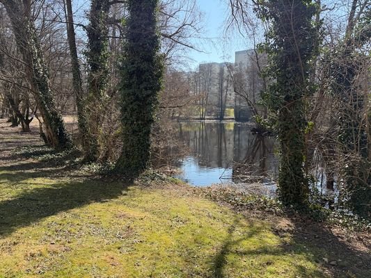 Die Grünanlage Praterweiher